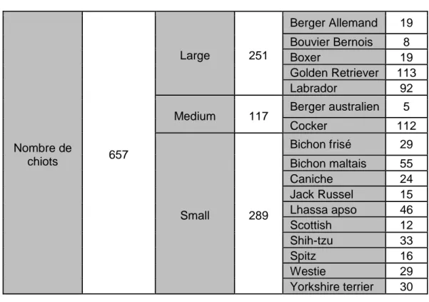 Figure 16- Répartition de la taille des portées   (n=139 portées, 787 chiots nés totaux)