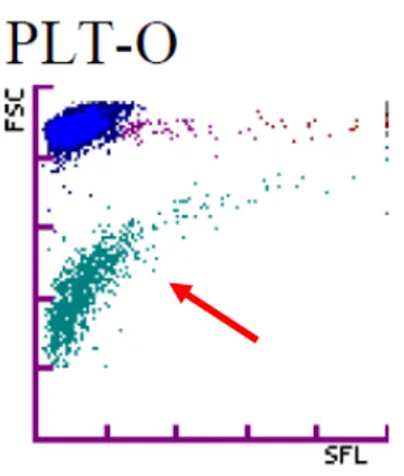 Figure 2 : Nuage de points plaquettaires chez un chien sain (flèche rouge) 