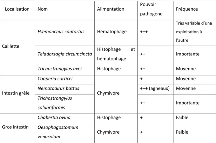 Tableau 2 : Caractéristiques des principaux strongles gastro-intestinaux rencontrés en France métropolitaine