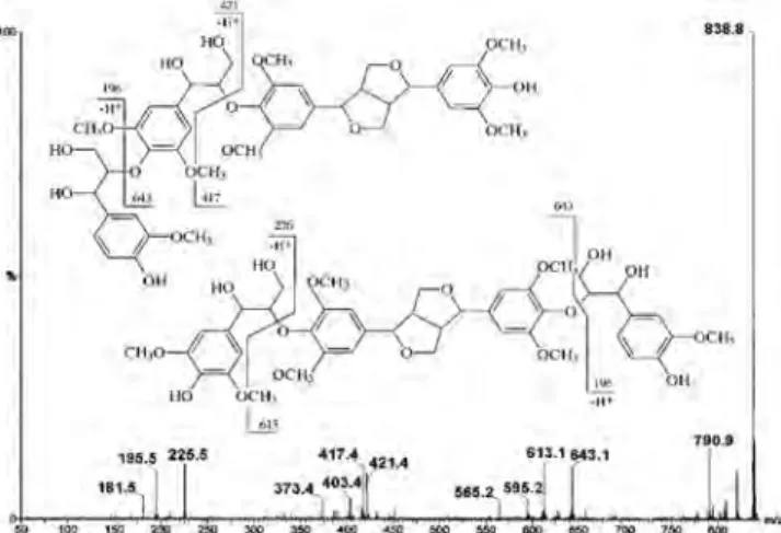 Figure 18. The CID-fragmentation pattern of the thioacidolysed acetylated pinoresinol at m/z 531.19