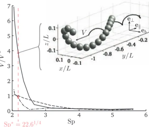 Fig. 15. Helical swimming of C. Elegans. (Inset) Snapshot for Sp ∗ = 22 . 6 1 / 4 and β/ α = 1