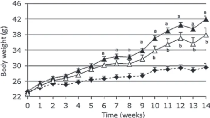 Fig. 1. High-fat diet and probiotic effect on body weight (g). The mice fed the control diet (CT) (^), the high-fat diet (HF) (~), and the high-fat diet plus the probiotic mixture (HF-Pb) (4) were weighed once a week and the results averaged