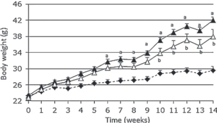 Fig. 1. High-fat diet and probiotic effect on body weight (g). The mice fed the control diet (CT) (^), the high-fat diet (HF) (~), and the high-fat diet plus the probiotic mixture (HF-Pb) (4) were weighed once a week and the results averaged