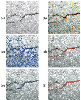 Fig. 1. The five steps from the original image (a) to the result (f) of the MPS method, wich are detailed in section 2.