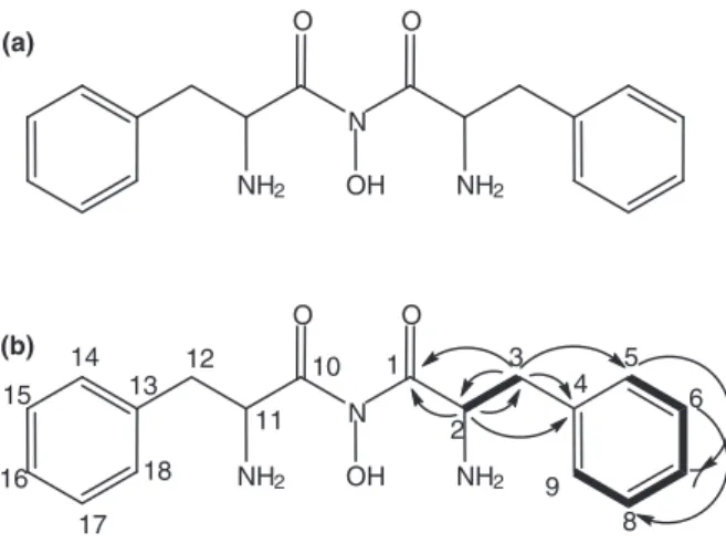 Table  2  1 H  and  13 C  NMR  data  assignments  of  WAB9  compound  in  CD 3 OD  at 298  K