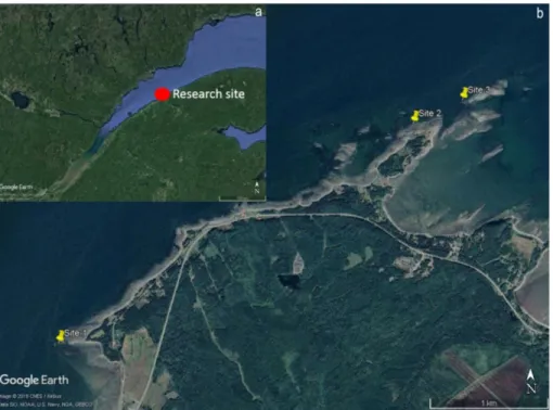 Figure 1. a) Map of the Saint Lawrence Maritime Estuary in Quebec, Canada. b) Location of the three research  site in the Mitis region Statistical analysis 