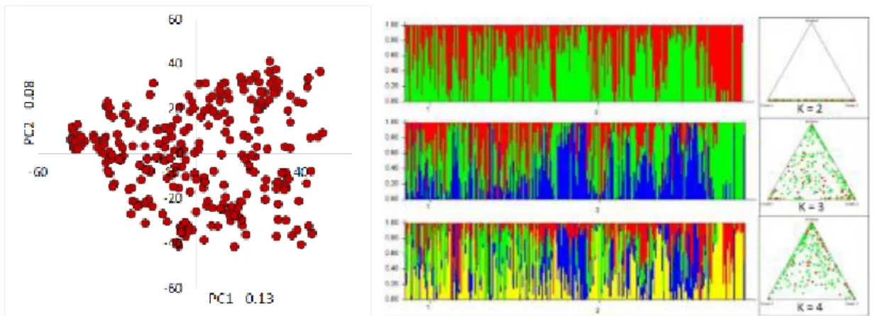 Figure 2.7 Population structure analysis using two methods: (i) Principal component analysis and  (ii) clustering using STRUCTURE 