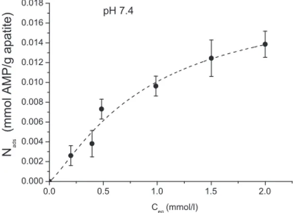 Fig. 3. Adsorption isotherm of AMP onto nanocrystalline apatite hac-7d, at pH 7.4, 20 ◦ C and in KCl 10 −2 M.