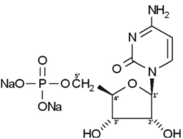 Fig.  2. (a) XRD pattern  (2  theta  between  20° and  70°) of  the  biornirnetic  carbonated  apatite  sample  hac-lw  (maturation  of  1  week)  used  in  this  work,  with    (  hk  l)  indexation  after  JCPDS  file  #09-432  relative  to  hydroxyapati