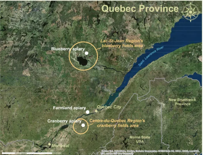 Fig  1. Location of the study apiaries. Location of the farmland, blueberry field and cranberry field apiaries,  against the location of the most important regions for blueberry and cranberry production in the province of  Quebec,  Canada
