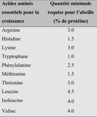 Tableau 1. Les 10 acides aminés essentiels au développement de l’abeille domestique et leur contenu relatif  minimum en % de la protéine brute (avec tryptophane = 1.0 comme base) (De Groot 1953) 