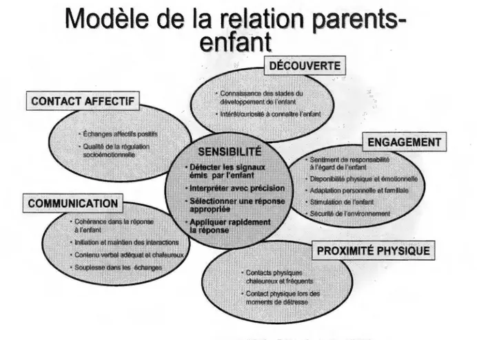 Figure 1 : Modèle de la relation parents-enfant 