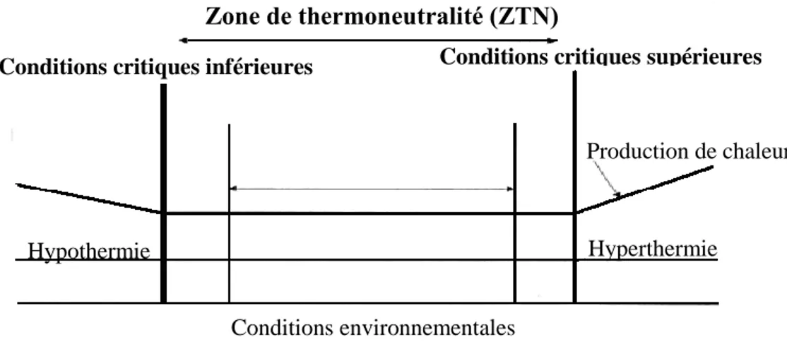 Figure 1.4 Représentation de la zone de thermoneutralité des vaches laitières et de ses limites 