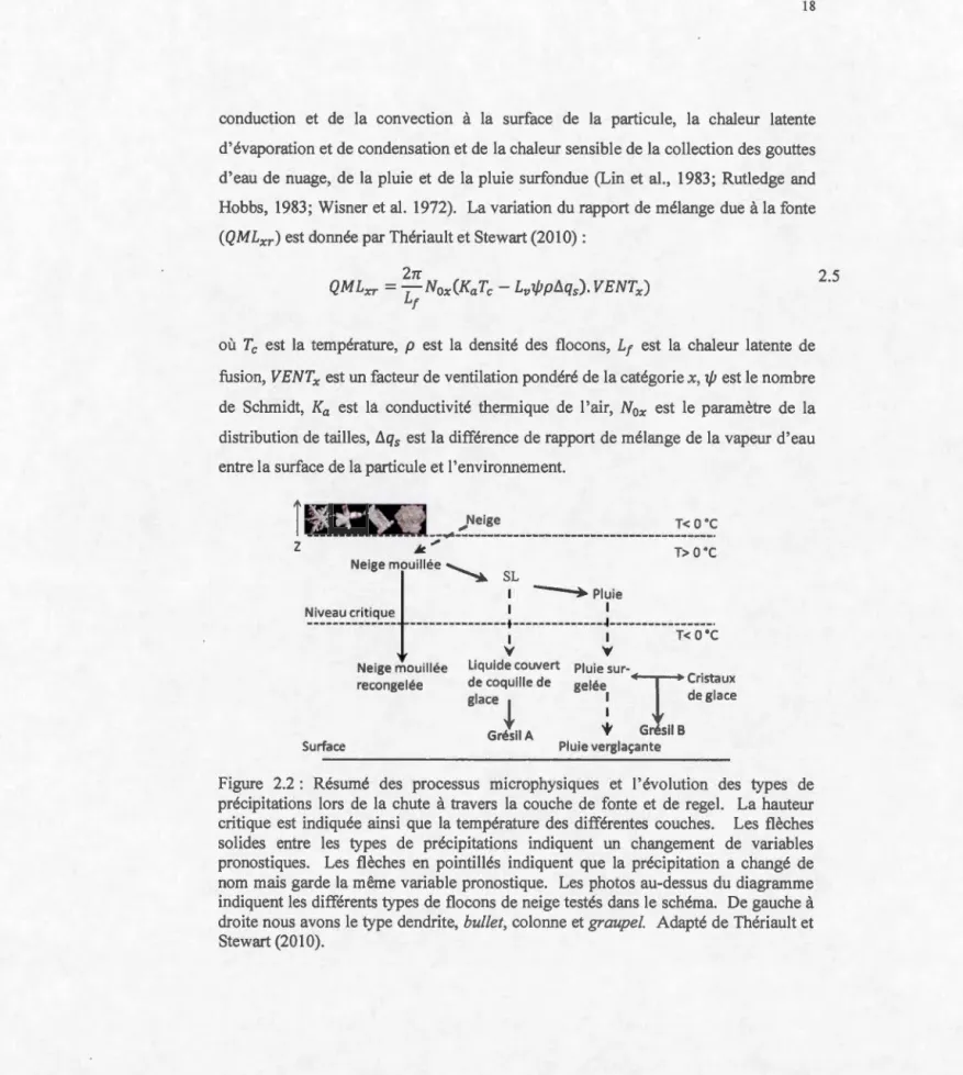 Figure  2.2:  Résumé  des  processus  microphysiques  et  l' évolution  des  types  de  précipitations  lors  de  la  chute  à  travers  la  couche  de  fonte  et  de  regel