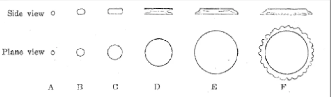 Figure 5 : Processus de croissance d’une particule de frasil (Arakawa, 1954) 