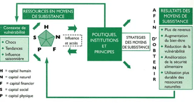 Figure 10 : Cadre d'analyse des moyens de subsistance durable.  