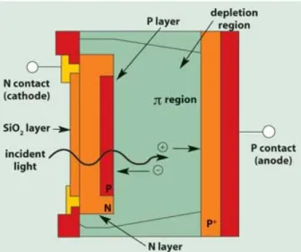 Figure 2.6 Fonctionnement d’une photodiode à avalanche [Hergert, s. d.].