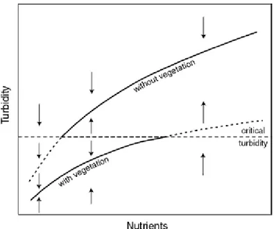 Figure 2.1 Équilibre entre la turbidité et la présence de macrophytes (tiré de : Scheffer et Van Nes,  2007, p.456) 