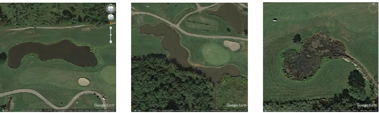 Figure  3.1  Les  étangs  du  sous-bassin  versant  Inverness  possédant  un  lien  hydrologique  et  étant  situés sur un terrain de golf (Google Earth) 