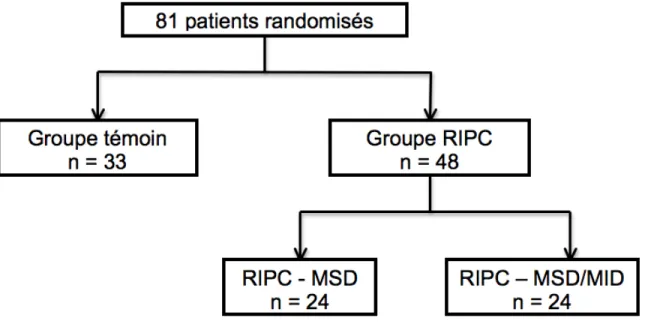 Figure 3 : Diagramme de flot - Distribution des patients randomisés 