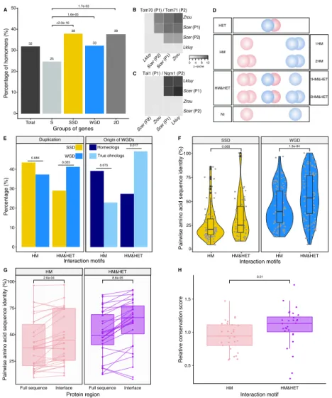 Figure 2: Homomers and heteromers of paralogs are frequent in the yeast protein interaction network