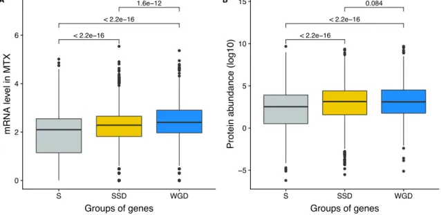 Figure S2: mRNA and protein abundance of singletons and duplicates.