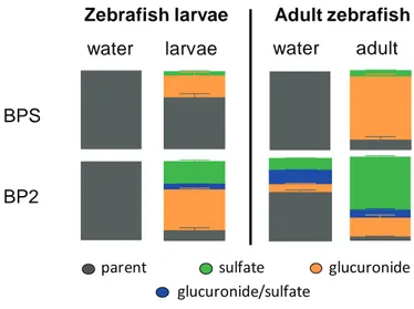 Figure 3. Metabolic balance of 3 H-BPS and 3 H-BP2 in larvae and adult zebrafish: respective proportions of parent molecules and their metabolites in water and animals samples at 72 h.