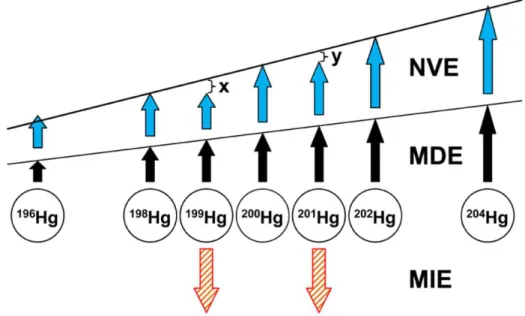 Figure 6. Vue schématique des différents mécanismes produisant du MIF (d’après  Wiederhold (2015)) :  Effets du MDF (MDE), du volume nucléaire(NVE) et des isotopes  magnétiques (MIE)