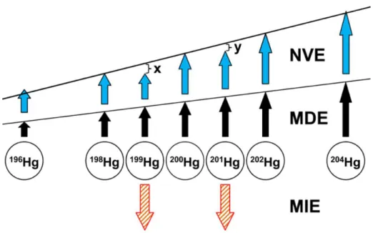 Figure 6. Schematic view of the different Hg isotope fractionation mechanisms (according to  Wiederhold (2015))