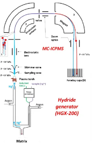 Figure 5. Schematic diagram of the coupling of the hydride generator (HGX-200) with the  MC-ICPMS  