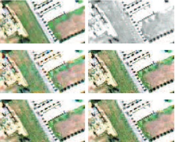 Figure 1.7: ROSIS dataset: (Top left) Reference image. (Top right) PAN image. (Middle left) Adaptive IHS [RSM + 10]