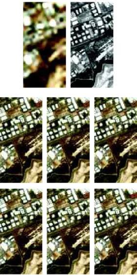 Fig. 2. True pseudo-spectral response e R (left) and its estimation (right).