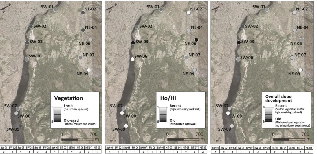 Figure 7: Slope development stage according to three parameters: 1) vegetation; 2) Ho/Hi index and 3) a combination of the two