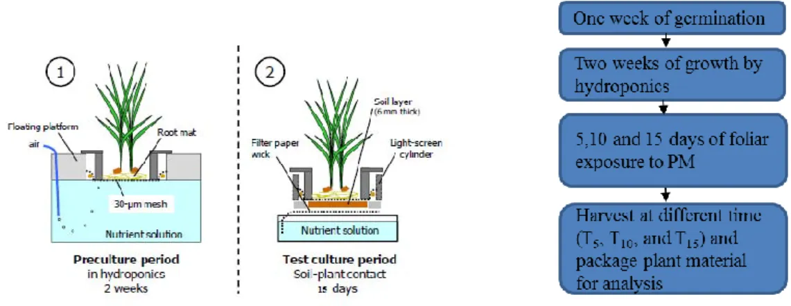 Figure  5 Steps for Micro-culture device (ISO, 2011). 