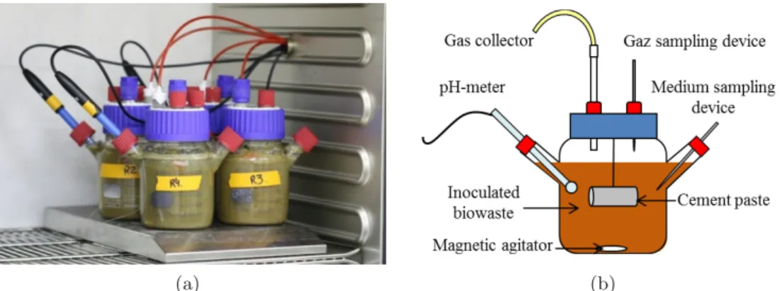 Fig. 1. (a) Picture of the experimental tests for the exposure of cement pastes to digested biowastes and (b) schematic representation of the anaerobic bioreactors placed on a magnetic plate for mixing purposes and kept in an oven regulated at 37 ◦ C.