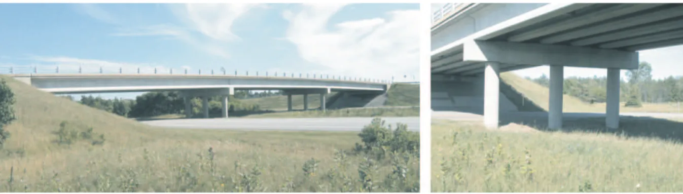 Figure 3.1 – Pont Chemin des Dalles : vue d’ensemble et vue d’un appui [89].