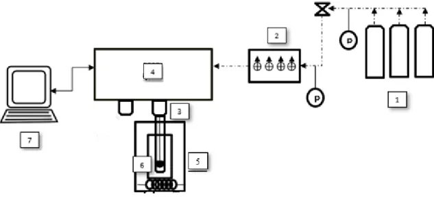 Figure 1.8. Schéma de l’appareil IGA. 1- Cylindres de gaz; 2- Contrôleur de flux; 3- 3-Réacteur; 4- Microbalance gravimétrique; 5- Contrôleur de température; 6- Échantillon; 