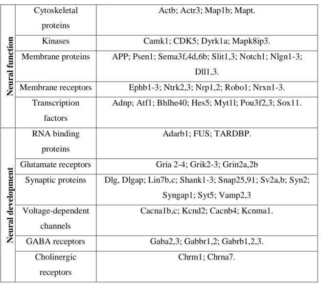 Table 1.1. TDP-43 RNA targets involved in neural development and function (Sephton  et al., 2012) 