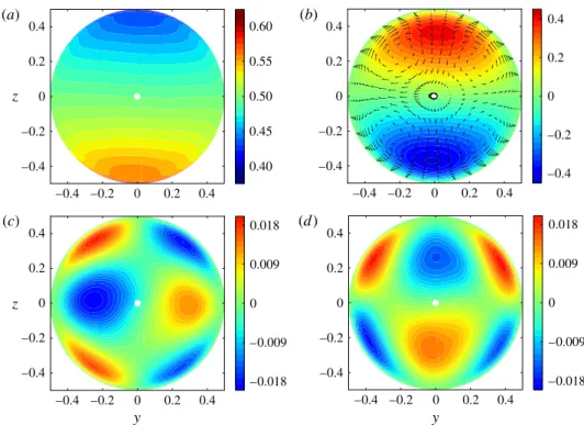 Figure 3 displays the distribution of the root mean square (r.m.s.) values of the concentration fluctuations and those of the three turbulent velocity fluctuations