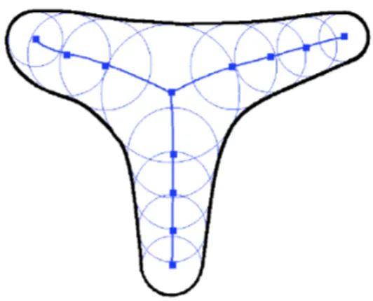 Figure 1: Un squelette est défini comme l’ensemble des centres des boules maximales, associés à leur rayons