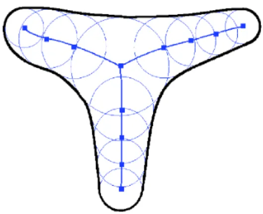 Figure 1: Un squelette est défini comme l’ensemble des centres des boules maximales, associés à leur rayons