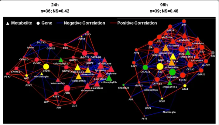 Figure 10 Correlation networks at 24 h and 96 h, generated as previously described [31]