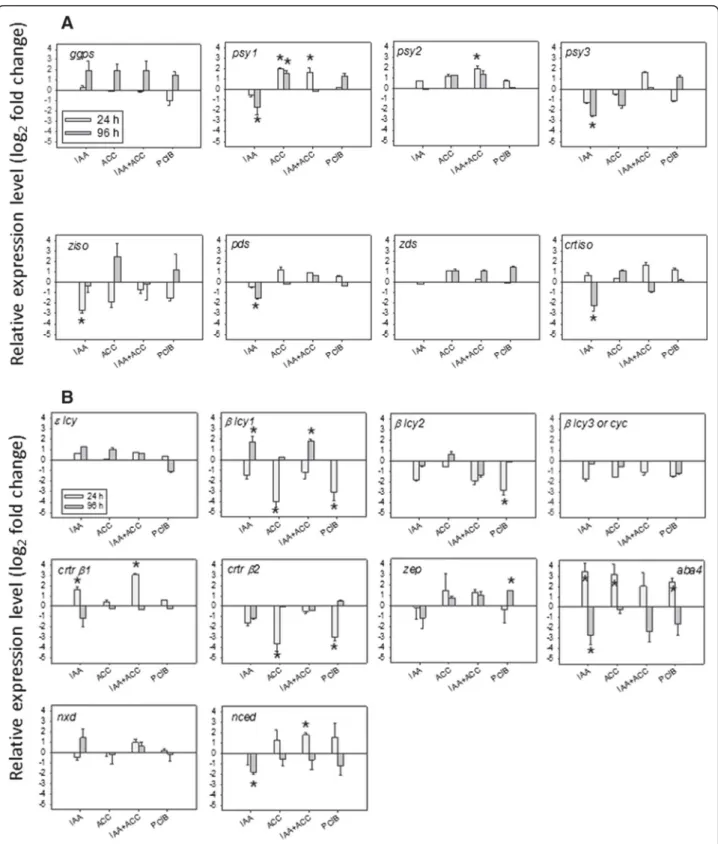 Figure 5 Modulation of transcript accumulation related to carotenoid pathway, A) upstream of lycopene, B) downstream of lycopene, 24 h or 96 h after hormonal treatments (see abbreviations in legend of Figure 2)