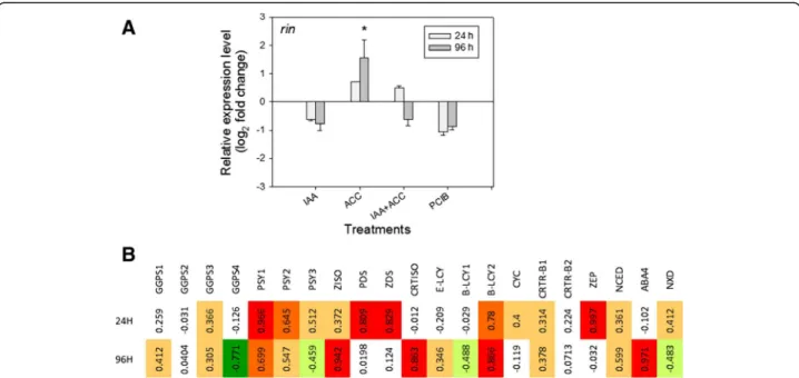 Figure 7 A) Modulation of the Rin transcript 24 h or 96 h after various hormonal treatments (see abbreviations in legend of Figure 2)