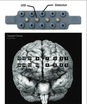 FIGURE 2 | Arrangement of the 4 LED sources and 10 detectors of the Biopac ® fNIR100 device (top), and location of the corresponding optodes on the cortex (bottom)
