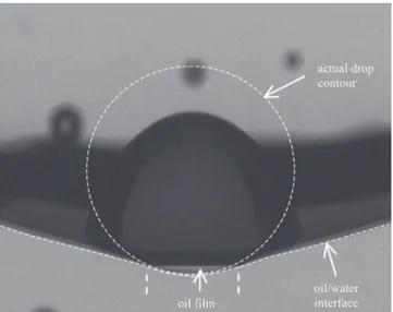 Fig. 2. Typical image of a drop (campaign nP) resting on the oil/water interface. (The dash line shows the actual drop contour as it would appear in the absence of optical distortion).