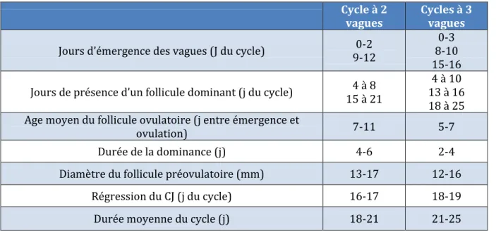 Tableau  1 :  Résumé  des principales caractéristiques des cycles ovariens à 2 et 3 vagues chez  la vache  (d’après Picard-Hagen et al., 2008) 