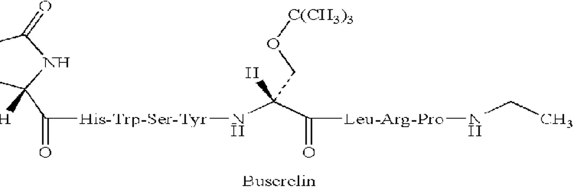 Figure  9 :  Structure  chimique  de  la  molécule  de  Buséréline  (analogue  agoniste  de  la  gonadolibérine),  nonapeptide 