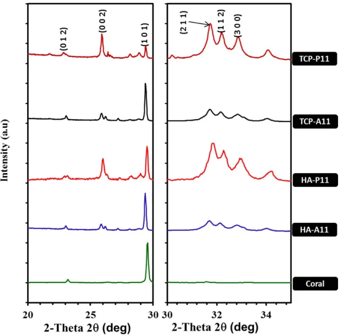 Figure 3: XRD patterns of samples after 24 hrs 