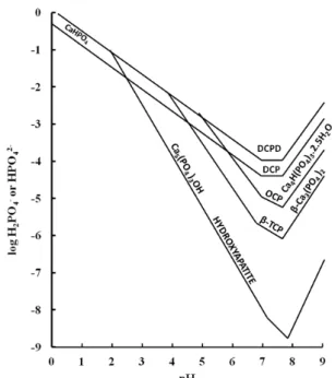 Figure 6: Solubility isotherms for differing calcium  phosphate forms versus pH. 